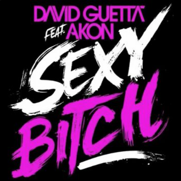 http://www.thehypefactor.com/wp-content/uploads/2009/07/David-Guetta-feat-Akon-Sexy-Bitch-single.png