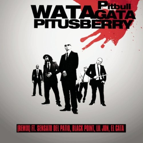Pitbull Watagatapitusberry Remix