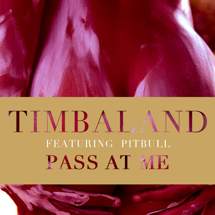 Timbaland feat. Pitbull – Pass At Me