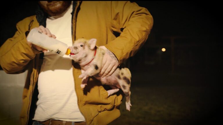 Belly Gang Kushington – Pig Latin