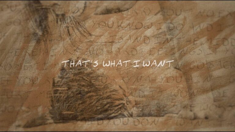 Morgan Wallen, Tate McRae – What I Want