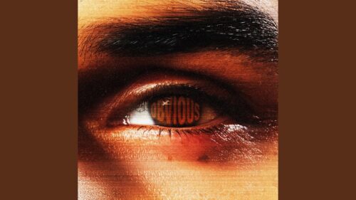 "Obvious" official audio // Chris Brown