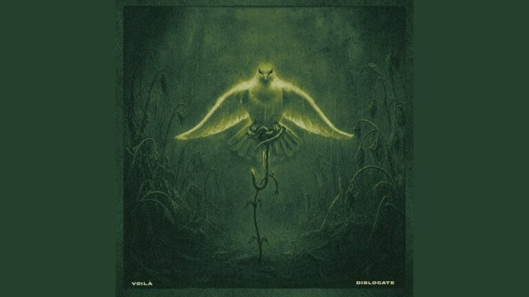 VOILÀ – Disclocate