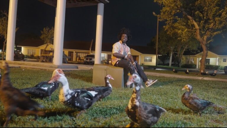 Kodak Black – Little Birdie