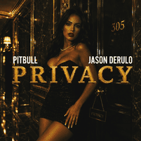 'Privacy' single cover art // Pitbull, Jason Derulo